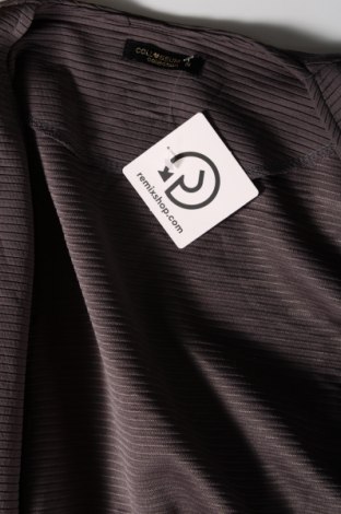 Γυναικείο σακάκι Colloseum, Μέγεθος M, Χρώμα Γκρί, Τιμή 3,54 €