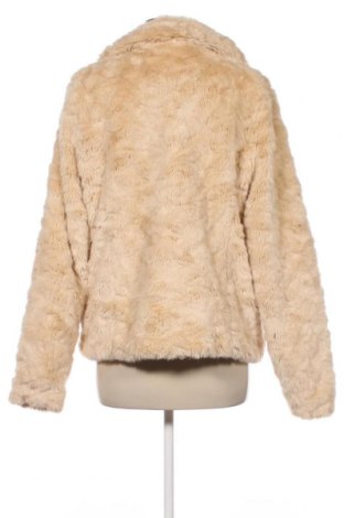 Γυναικείο μπουφάν Abercrombie & Fitch, Μέγεθος XL, Χρώμα  Μπέζ, Τιμή 51,34 €