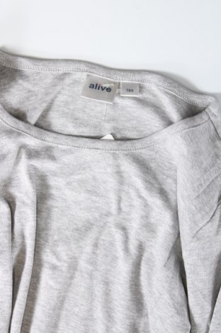 Kinder Shirt Alive, Größe 12-13y/ 158-164 cm, Farbe Grau, Preis 2,00 €