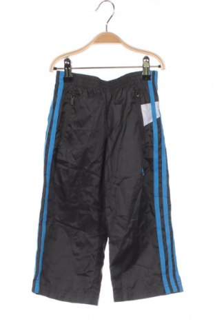 Kinder Sporthose Adidas, Größe 18-24m/ 86-98 cm, Farbe Grau, Preis € 8,46