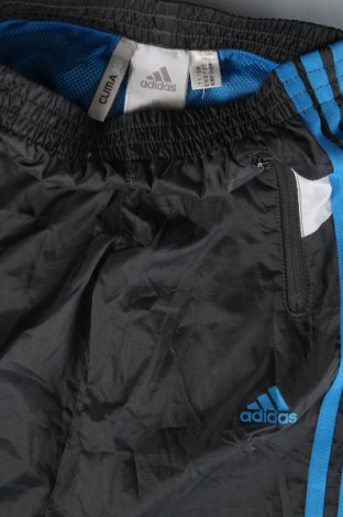 Παιδική κάτω φόρμα Adidas, Μέγεθος 18-24m/ 86-98 εκ., Χρώμα Γκρί, Τιμή 7,32 €