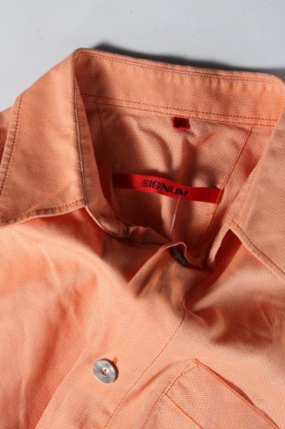 Мъжка риза Signum, Размер S, Цвят Оранжев, Цена 3,19 лв.