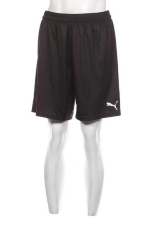Herren Shorts PUMA, Größe L, Farbe Schwarz, Preis € 13,36
