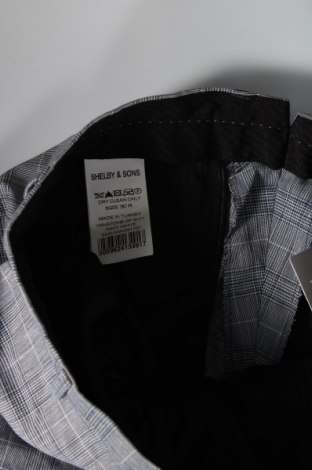 Мъжки панталон Shelby & Sons, Размер S, Цвят Многоцветен, Цена 20,88 лв.