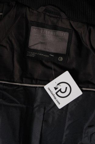 Ανδρικό μπουφάν Esprit, Μέγεθος S, Χρώμα Καφέ, Τιμή 6,32 €