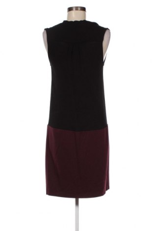 Kleid Massimo Dutti, Größe L, Farbe Mehrfarbig, Preis 13,55 €
