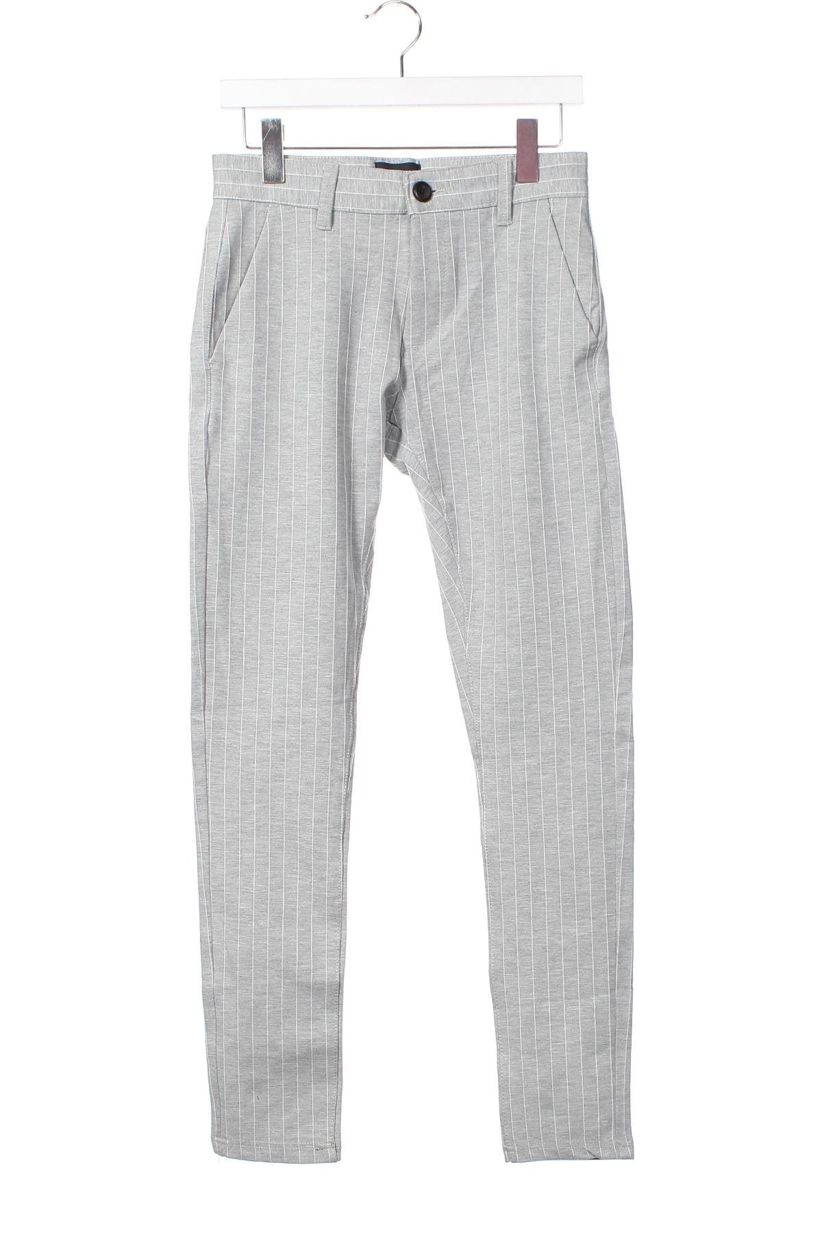 Мъжки панталон Denim Project, Размер S, Цвят Сив, Цена 87,00 лв.