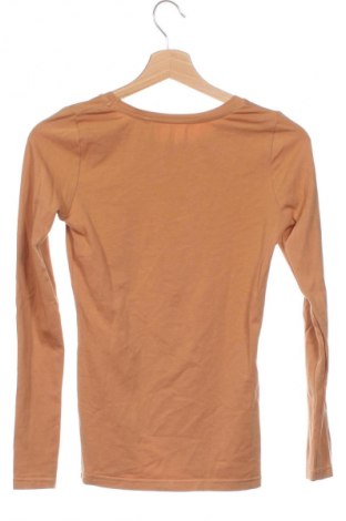 Damen Shirt, Größe XS, Farbe Beige, Preis 12,00 €