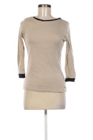 Damen Shirt 17 & Co., Größe M, Farbe Beige, Preis € 13,49