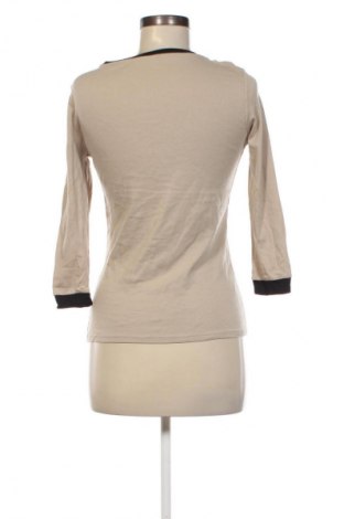 Damen Shirt 17 & Co., Größe M, Farbe Beige, Preis € 13,49