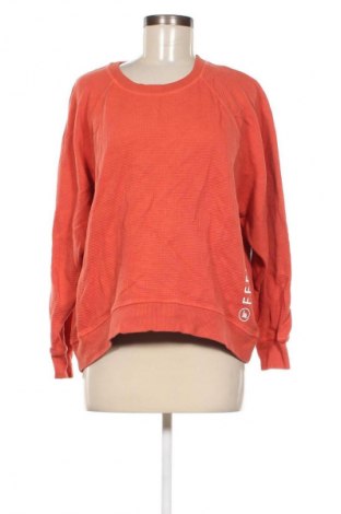 Damen Shirt Betty & Co, Größe L, Farbe Orange, Preis € 17,49