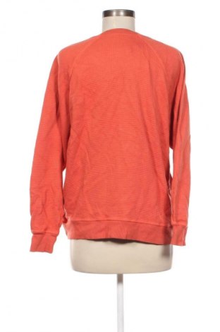 Damen Shirt Betty & Co, Größe L, Farbe Orange, Preis € 17,49