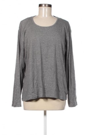 Damen Shirt Biaggini, Größe XXL, Farbe Grau, Preis € 6,49