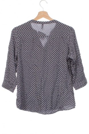 Damen Shirt Colloseum, Größe XL, Farbe Mehrfarbig, Preis 6,99 €