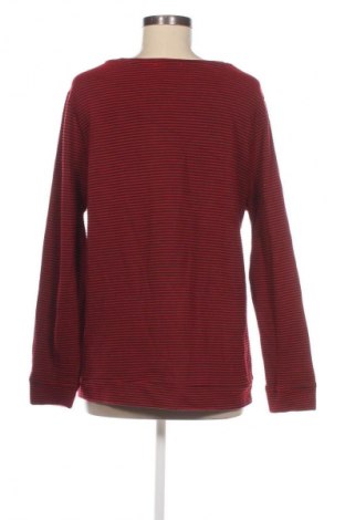 Damen Shirt Esmara, Größe XL, Farbe Mehrfarbig, Preis € 4,99