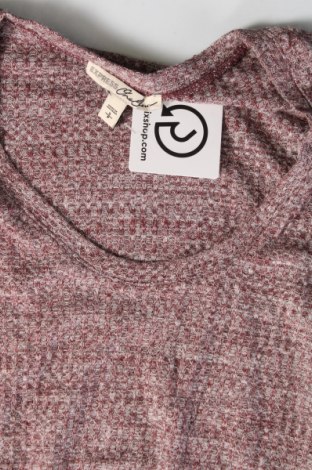 Damen Shirt Express, Größe S, Farbe Mehrfarbig, Preis € 4,49