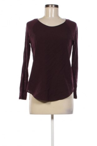 Damen Shirt French Connection, Größe S, Farbe Lila, Preis € 5,49