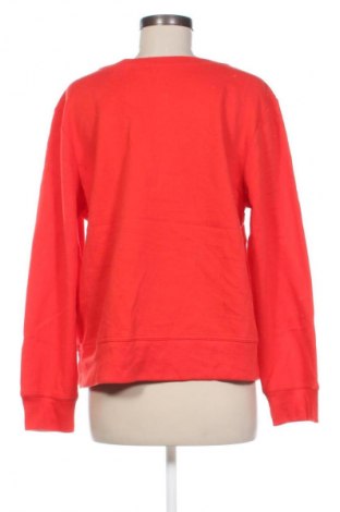 Damen Shirt Gap, Größe L, Farbe Rot, Preis € 13,99