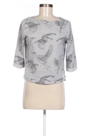 Damen Shirt H&M, Größe XS, Farbe Grau, Preis € 4,99