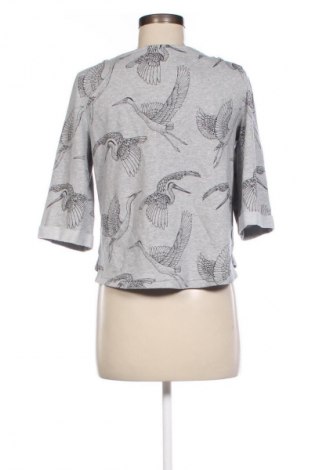 Damen Shirt H&M, Größe XS, Farbe Grau, Preis € 4,49