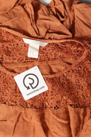 Damen Shirt H&M, Größe XL, Farbe Orange, Preis € 6,99