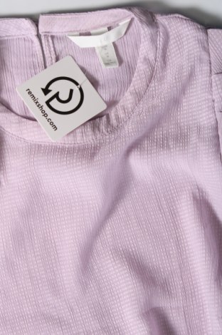 Damen Shirt H&M, Größe M, Farbe Lila, Preis € 5,99