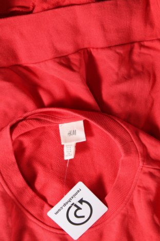 Damen Shirt H&M, Größe M, Farbe Rot, Preis € 13,49