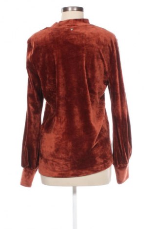 Damen Shirt Helena Hart, Größe XL, Farbe Braun, Preis € 8,99