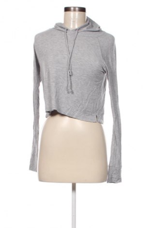 Damen Shirt Hollister, Größe XS, Farbe Grau, Preis 9,99 €