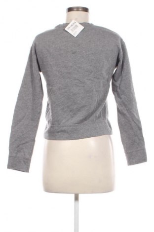 Damen Shirt Hollister, Größe XS, Farbe Grau, Preis € 4,49