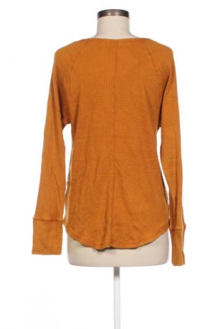 Damen Shirt Knox Rose, Größe XL, Farbe Orange, Preis € 5,99