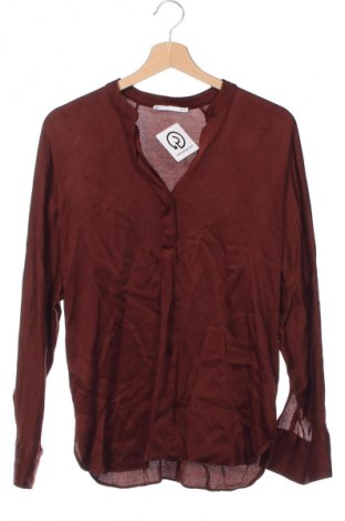 Damen Shirt Mango, Größe XS, Farbe Braun, Preis € 6,49