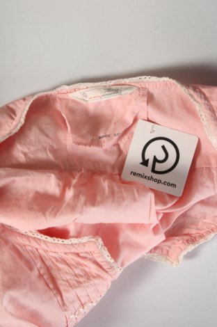 Damen Shirt Odd Molly, Größe S, Farbe Rosa, Preis € 42,99