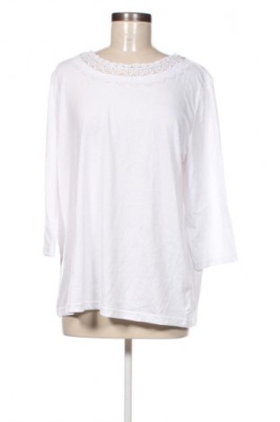 Damen Shirt Paola, Größe XL, Farbe Weiß, Preis 11,49 €