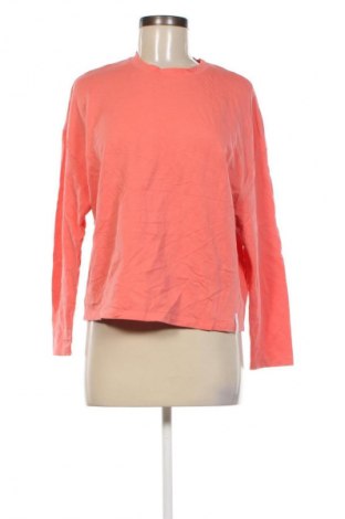 Damen Shirt Rosch, Größe S, Farbe Rosa, Preis € 15,99