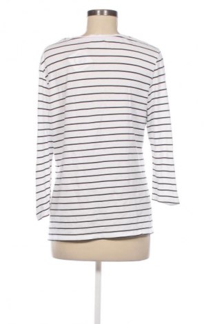 Damen Shirt Sure, Größe L, Farbe Mehrfarbig, Preis € 6,49