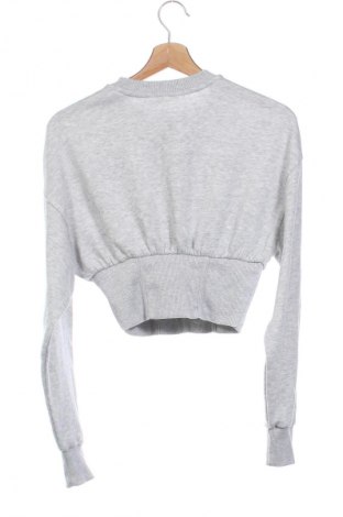 Damen Shirt Terranova, Größe XS, Farbe Grau, Preis 5,99 €