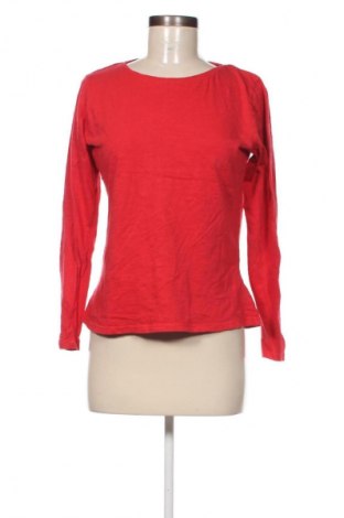 Damen Shirt Tex, Größe L, Farbe Rot, Preis 4,99 €