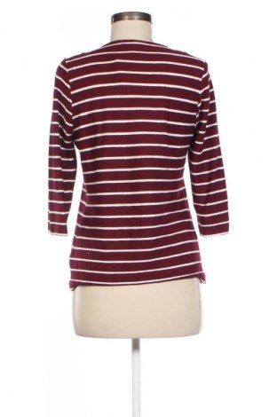 Damen Shirt Walbusch, Größe M, Farbe Mehrfarbig, Preis € 15,99