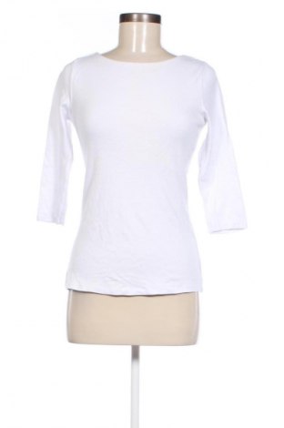 Damen Shirt Zara, Größe M, Farbe Weiß, Preis 7,99 €