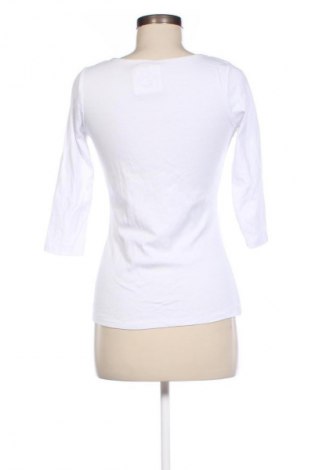 Damen Shirt Zara, Größe M, Farbe Weiß, Preis 7,99 €