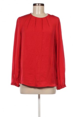 Damen Shirt Zara, Größe L, Farbe Rot, Preis € 7,99