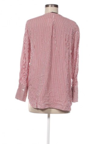 Damen Shirt Zara, Größe M, Farbe Mehrfarbig, Preis € 4,99