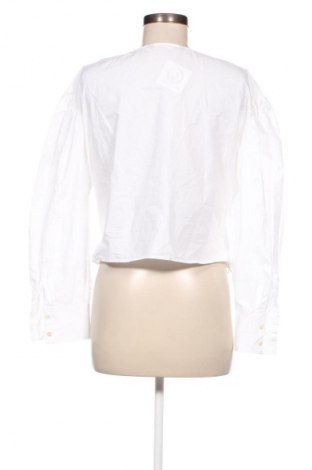 Damen Shirt Zara, Größe M, Farbe Weiß, Preis 8,99 €