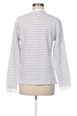 Damen Shirt Zara, Größe S, Farbe Mehrfarbig, Preis 6,99 €