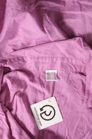 Damenbluse, Größe XL, Farbe Lila, Preis € 8,49