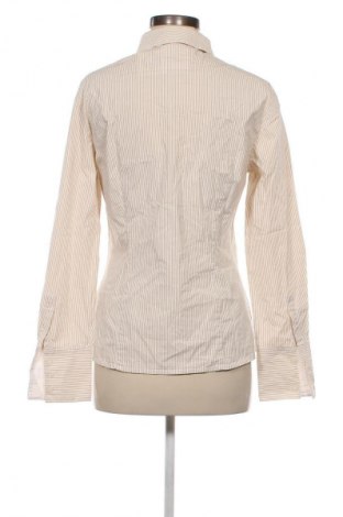 Damenbluse Betty Barclay, Größe M, Farbe Mehrfarbig, Preis € 19,49