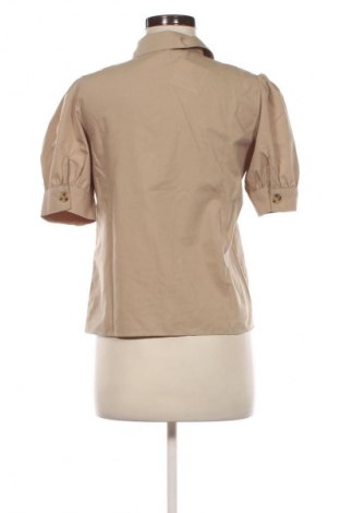 Damenbluse Trendyol, Größe S, Farbe Beige, Preis 6,99 €