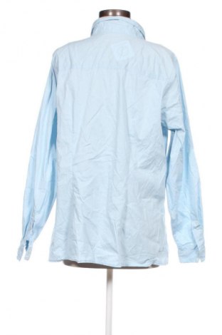 Damenbluse Zizzi, Größe XL, Farbe Blau, Preis 17,49 €