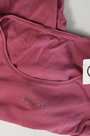 Γυναικείο t-shirt Esprit, Μέγεθος M, Χρώμα Βιολετί, Τιμή 5,99 €